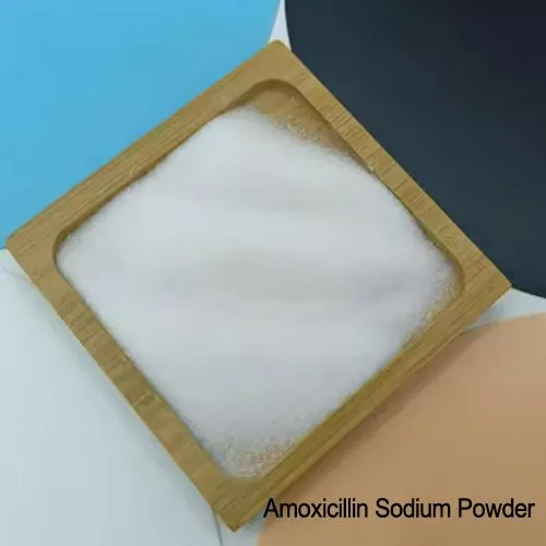 Matérias -primas de API Amoxicilina